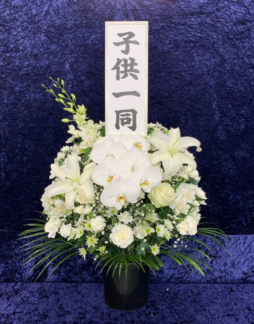 洋花26,400円