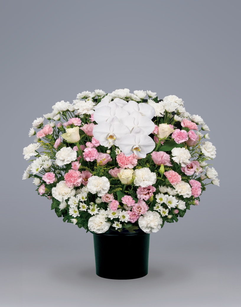 洋花22,000円