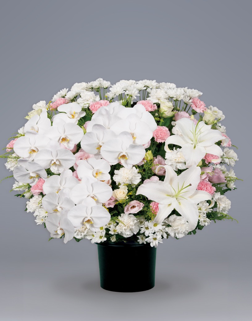 洋花39,600円